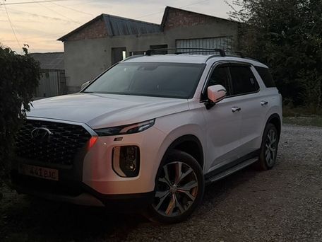 Hyundai Palisade, 2020 — сүрөт 16