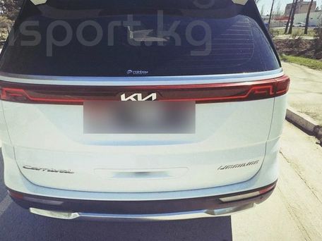 Kia Carnival, 2020 — фото 8