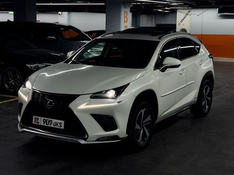 Lexus NX, 2020 — сүрөт 1