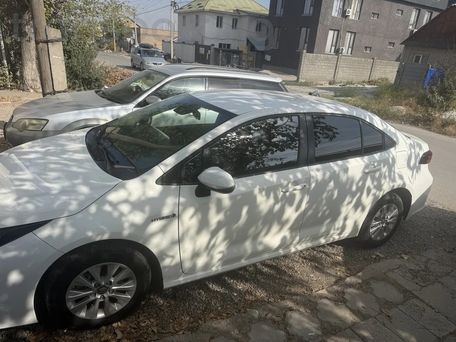 Toyota Corolla, 2020 — 照片 3