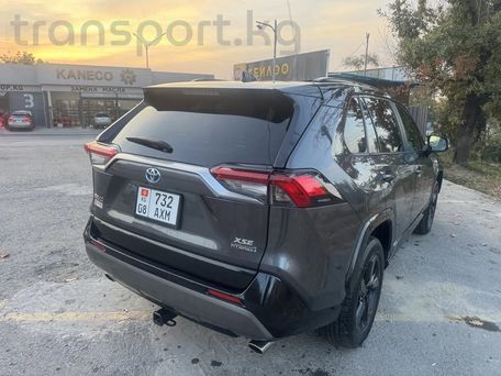 Toyota RAV4, 2020 — 照片 4