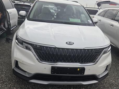 Kia Carnival, 2020 — 照片 1