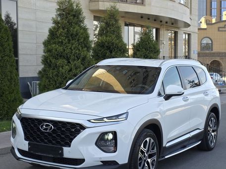 Hyundai Santa Fe, 2020 — фото 14