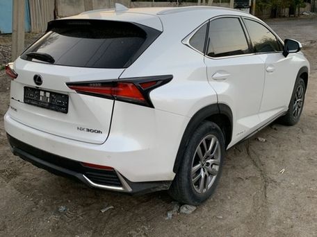 Lexus NX, 2018 — фото 9