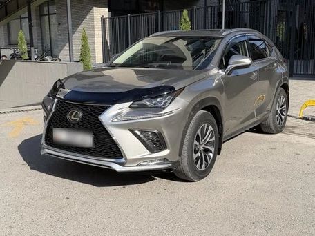 Lexus NX, 2019 — photo 5