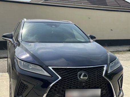 Lexus RX, 2022 — 照片 7