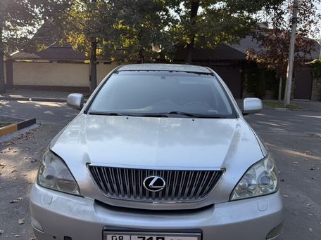 Lexus RX, 2003 — 照片 9