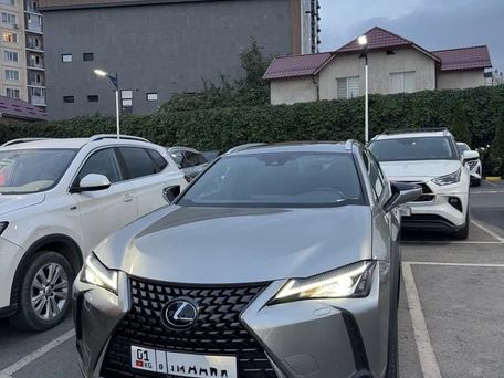 Lexus UX, 2019 — фото 1