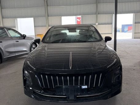 Hongqi E-QM5, 2021 — 照片 6
