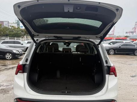 Hyundai Santa Fe, 2020 — сүрөт 18