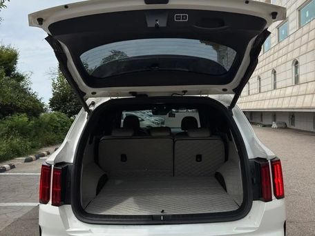 Kia Sorento, 2021 — photo 12