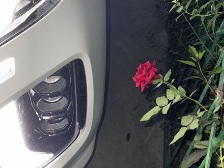 Hyundai Palisade, 2019 — сүрөт 15