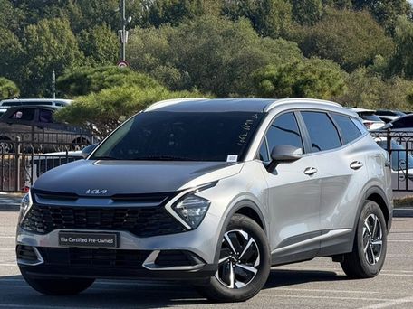 Kia Sportage, 2023 — фото 1