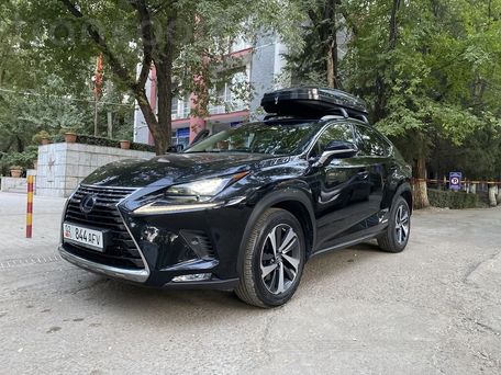 Lexus NX, 2018 — фото 1
