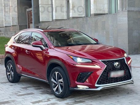 Lexus NX, 2018 — фото 2