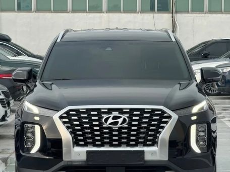 Hyundai Palisade, 2020 — фото 4