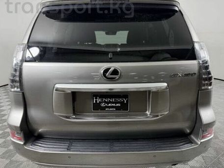Lexus GX, 2020 — фото 5