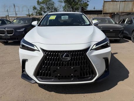 Lexus NX, 2025 — фото 1