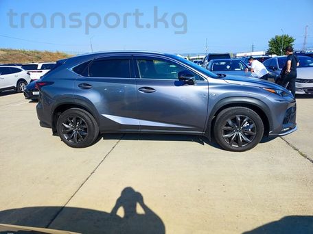 Lexus NX, 2020 — photo 8