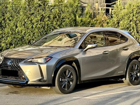 Lexus UX, 2018 — фото 4