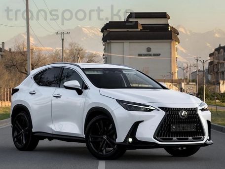 Lexus NX, 2023 — сүрөт 1