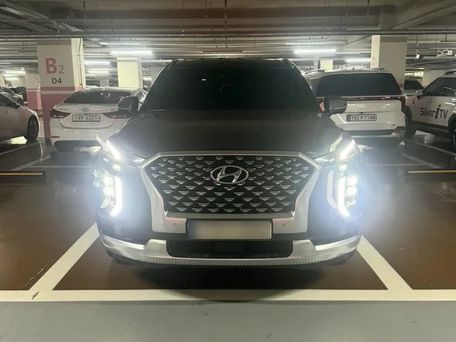 Hyundai Palisade, 2021 — фото 1
