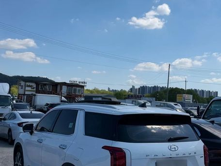 Hyundai Palisade, 2020 — photo 5