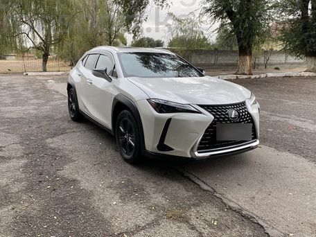 Lexus UX, 2018 — фото 8