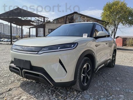 BYD Yuan Up, 2024