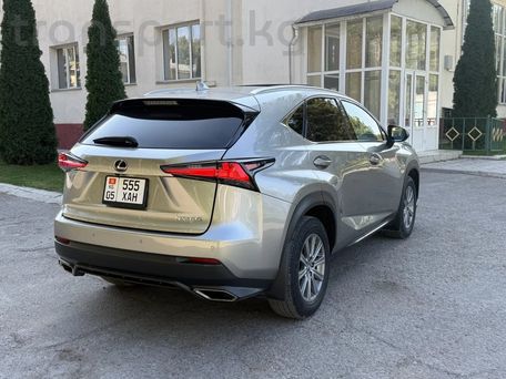 Lexus NX, 2018 — фото 7
