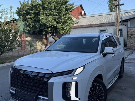 Hyundai Palisade, 2022
