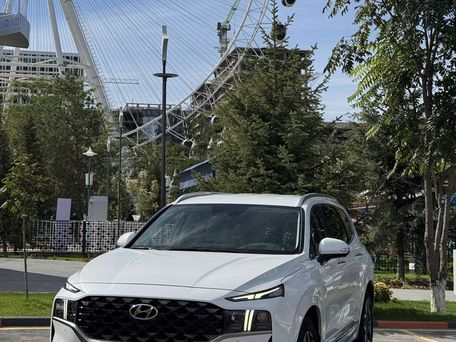 Hyundai Santa Fe, 2022 — сүрөт 2
