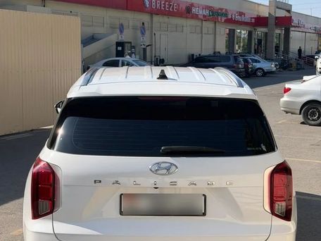 Hyundai Palisade, 2019 — photo 5