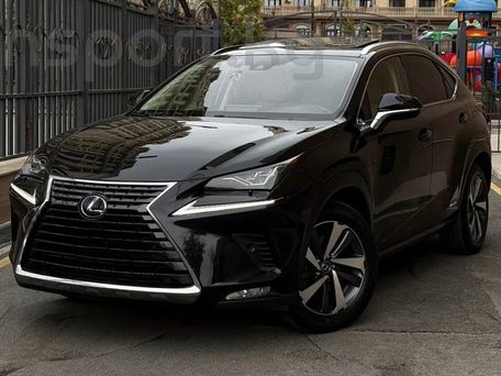 Lexus NX, 2021 — фото 1