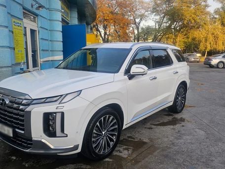 Hyundai Palisade, 2022 — сүрөт 10