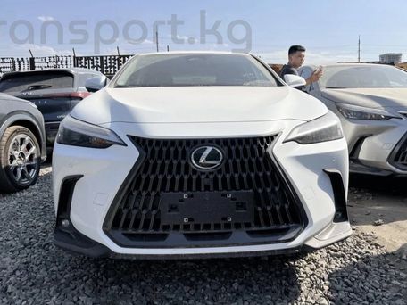 Lexus NX, 2025 — фото 1