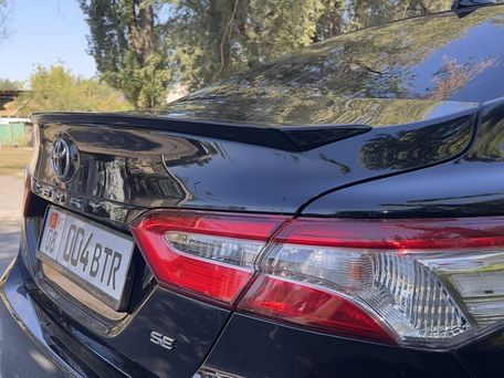 Toyota Camry, 2019 — фото 11