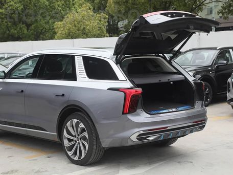 Hongqi E-HS9, 2025 — photo 11