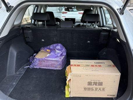 Toyota RAV4, 2024 — 照片 8