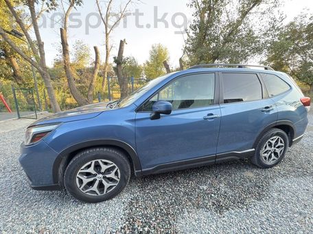 Subaru Forester, 2020 — сүрөт 6