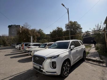 Hyundai Palisade, 2020 — photo 11