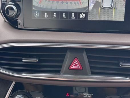 Hyundai Santa Fe, 2019 — фото 3