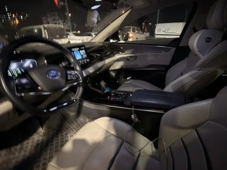 BYD E9, 2021 — photo 8