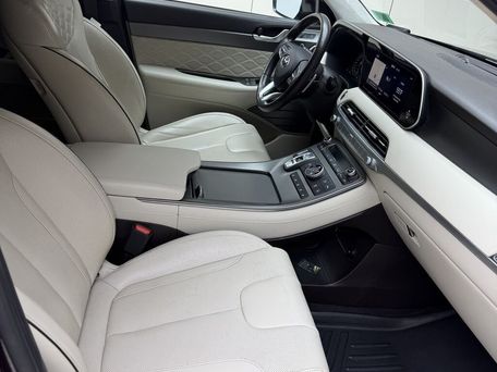 Hyundai Palisade, 2020 — photo 9
