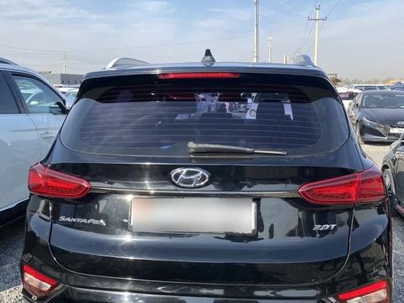 Hyundai Santa Fe, 2019 — фото 9