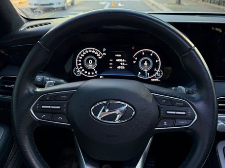Hyundai Palisade, 2021 — photo 11