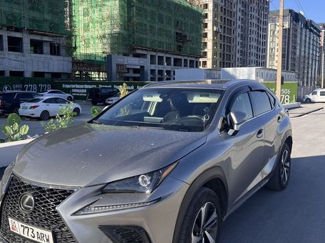 Lexus NX, 2018 — фото 2