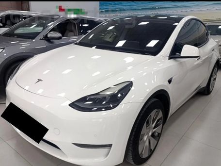 Tesla Model Y, 2021 — photo 1