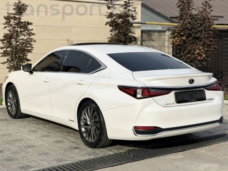 Lexus ES, 2018 — фото 8