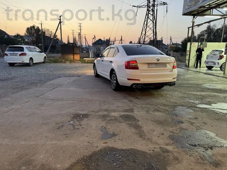 Skoda Octavia, 2016 — 照片 4